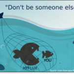 How did Hyflux investors lose so  much money and how to avoid  a  similar fate